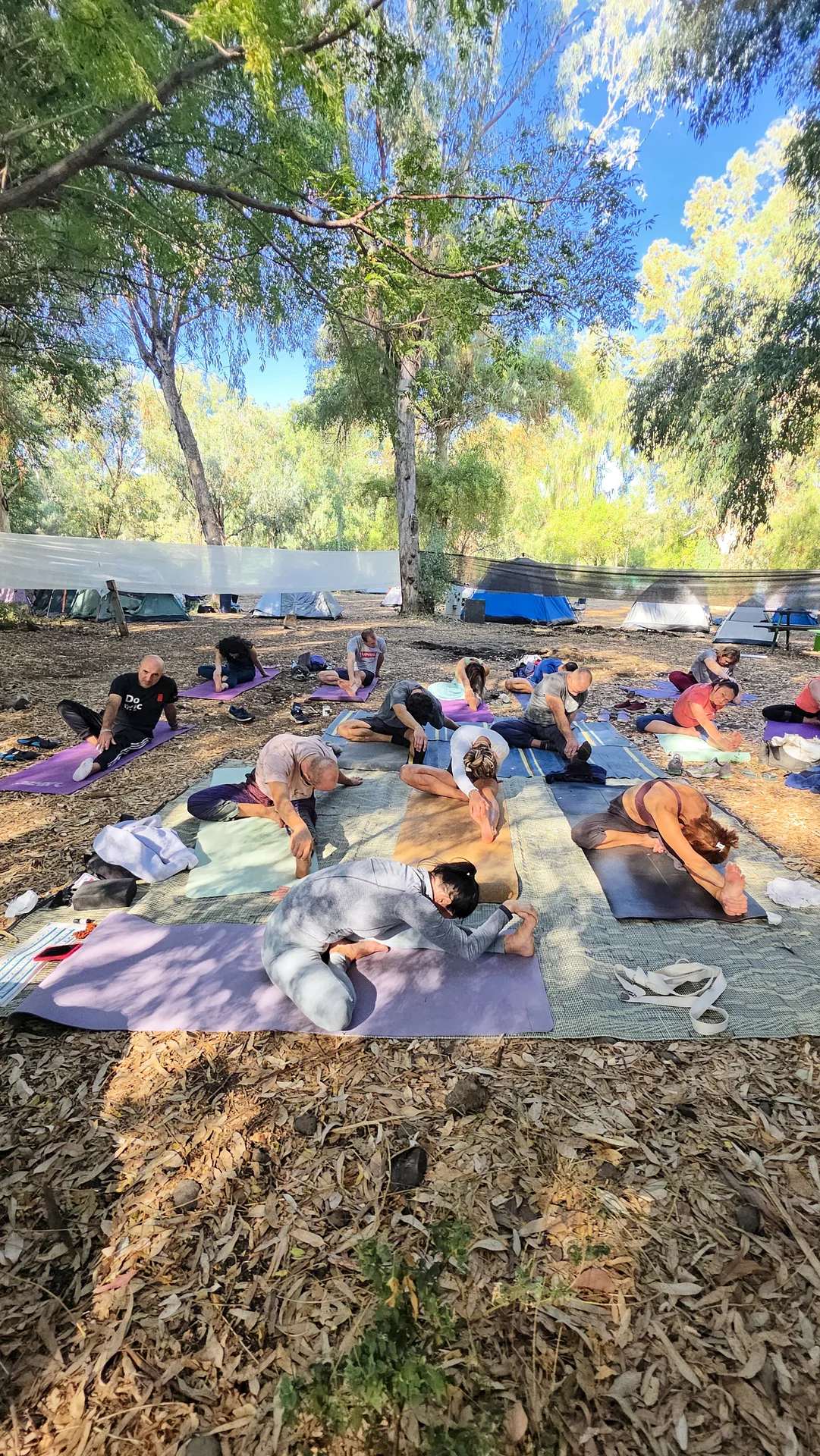 Групповая практика в тени деревьев